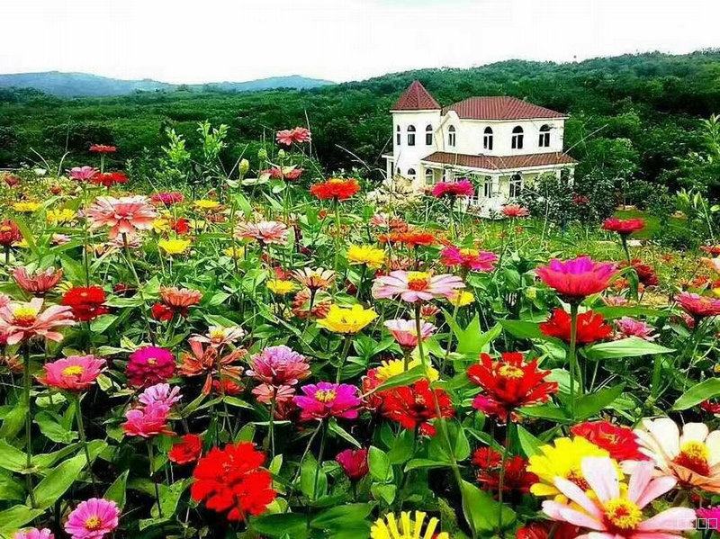 灞槍棣欏北鎷撳睍鏂囧寲鍥?.jpg